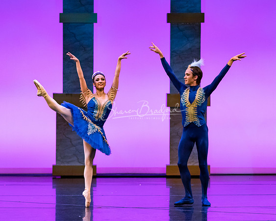 Ballet NTX Sleeping Beauty pc Sharen Bradford-1888