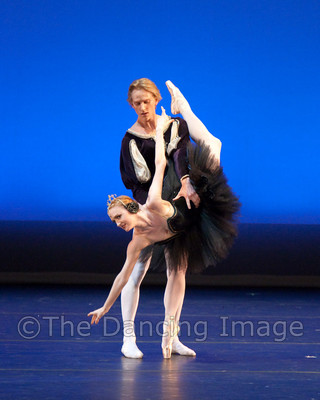 Black Swan-1170