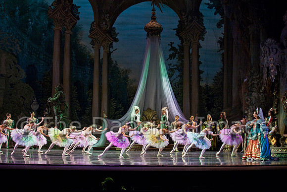 TB Sleeping Beauty Wed.-0094