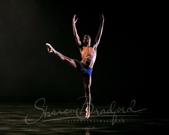 DBDT Encore pc Sharen Bradford-5050