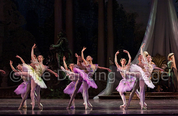 TB Sleeping Beauty Wed.-0124