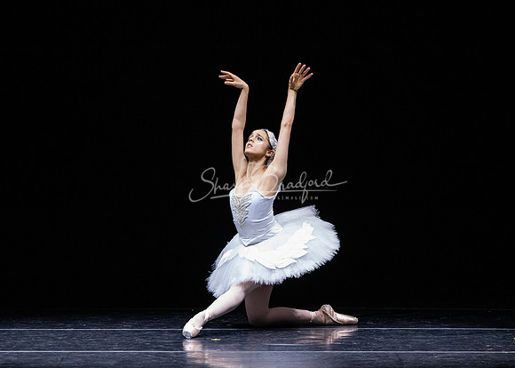 Dying Swan pc Sharen Bradford-1273