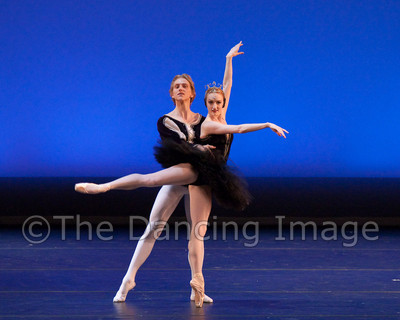 Black Swan-1101
