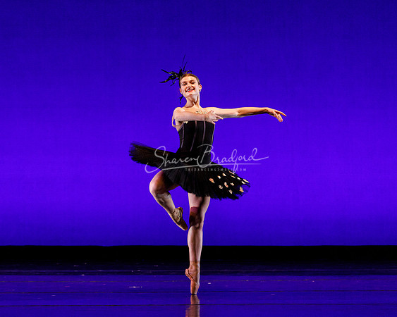 Rhapsodie Chromatique pc Sharen Bradford-2065