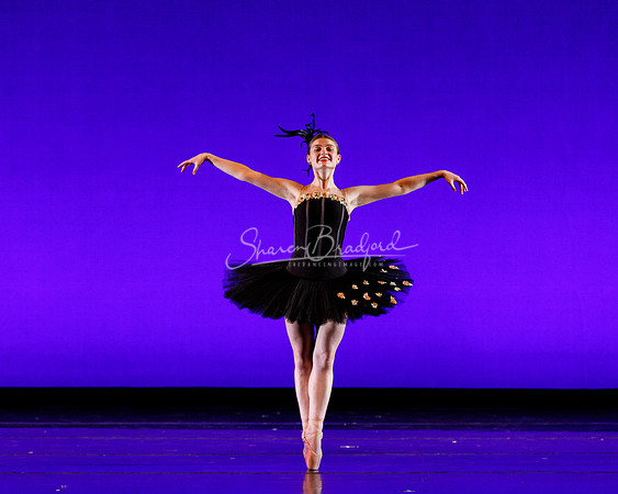 Rhapsodie Chromatique pc Sharen Bradford-2076