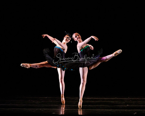 Rhapsodie Chromatique pc Sharen Bradford-2059