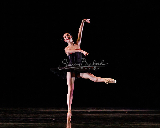 Rhapsodie Chromatique pc Sharen Bradford-2057