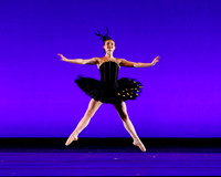Rhapsodie Chromatique pc Sharen Bradford-2075