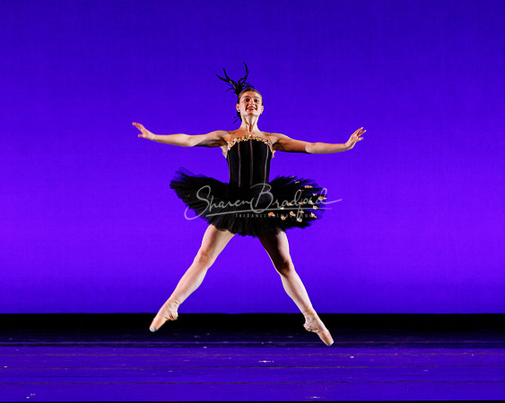Rhapsodie Chromatique pc Sharen Bradford-2075