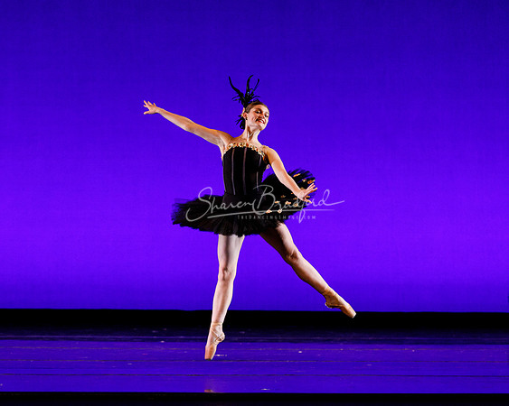 Rhapsodie Chromatique pc Sharen Bradford-2078