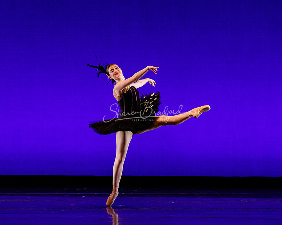Rhapsodie Chromatique pc Sharen Bradford-2094