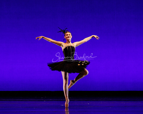 Rhapsodie Chromatique pc Sharen Bradford-2096