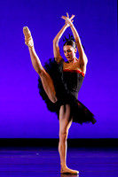 Rhapsodie Chromatique pc Sharen Bradford-2099