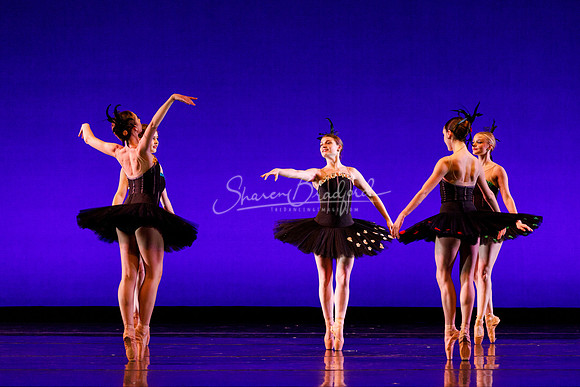 Rhapsodie Chromatique pc Sharen Bradford-2114