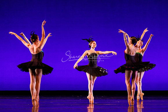 Rhapsodie Chromatique pc Sharen Bradford-2117