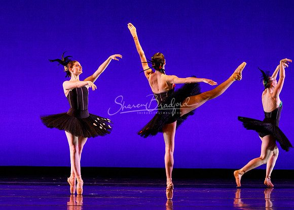 Rhapsodie Chromatique pc Sharen Bradford-2121