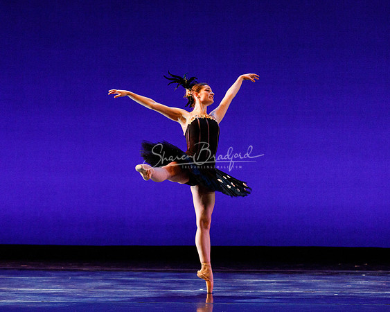 Rhapsodie Chromatique pc Sharen Bradford-2123
