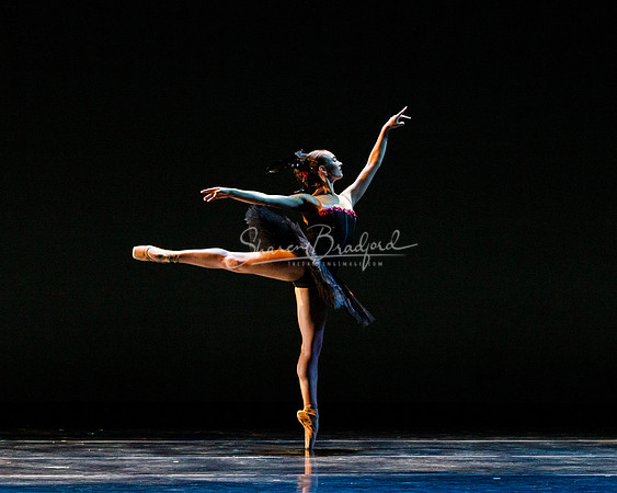 Rhapsodie Chromatique pc Sharen Bradford-2125