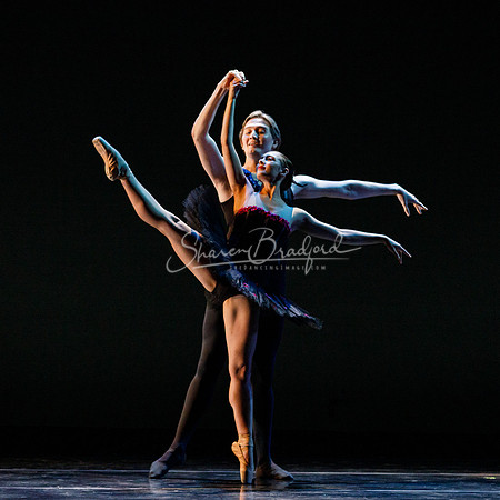 Rhapsodie Chromatique pc Sharen Bradford-2129