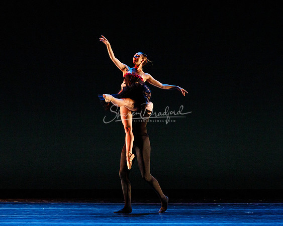 Rhapsodie Chromatique pc Sharen Bradford-2145