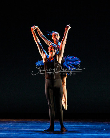 Rhapsodie Chromatique pc Sharen Bradford-2148