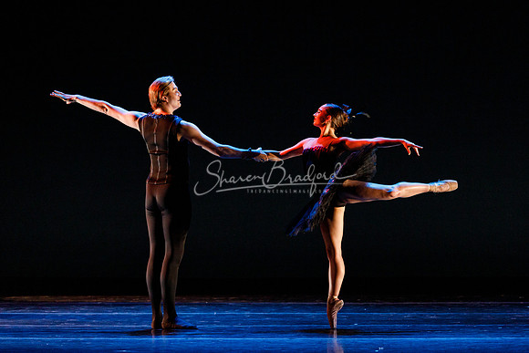 Rhapsodie Chromatique pc Sharen Bradford-2150