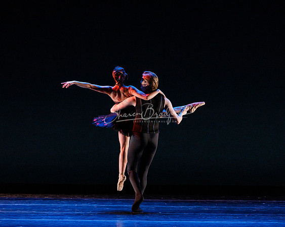 Rhapsodie Chromatique pc Sharen Bradford-2157