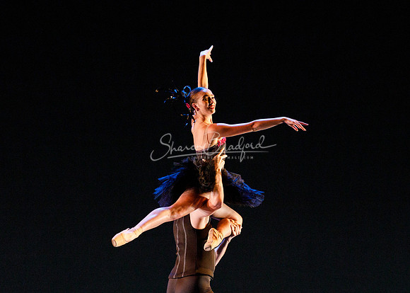 Rhapsodie Chromatique pc Sharen Bradford-2172