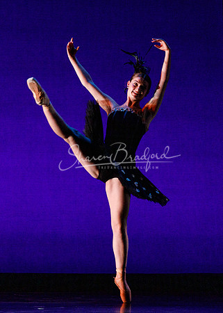 Rhapsodie Chromatique pc Sharen Bradford-2205