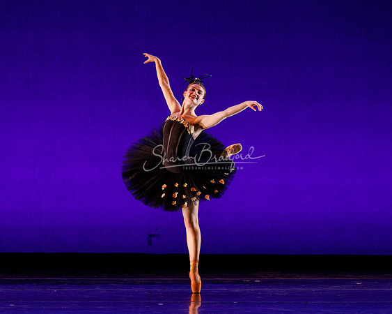 Rhapsodie Chromatique pc Sharen Bradford-2207