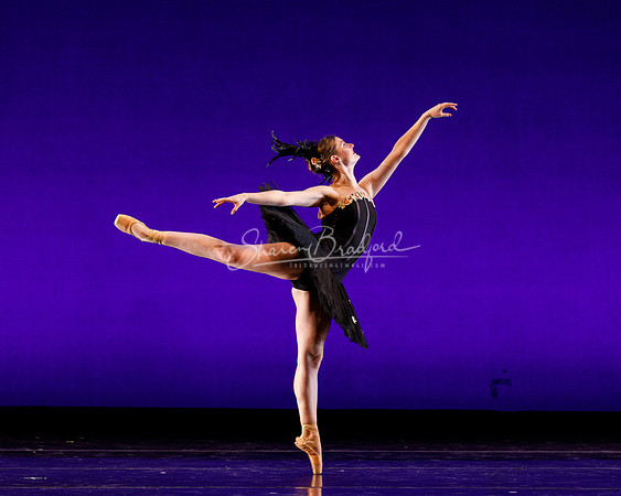 Rhapsodie Chromatique pc Sharen Bradford-2215