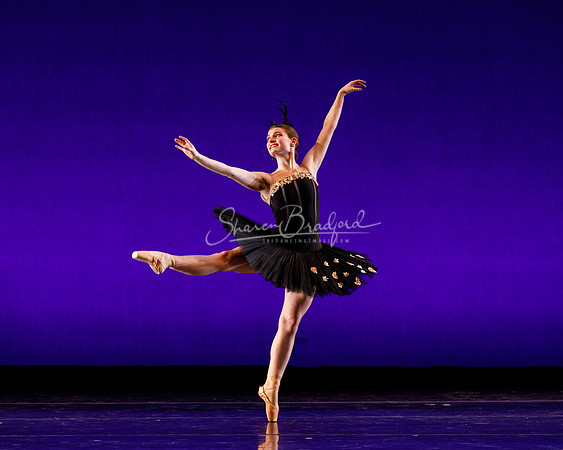Rhapsodie Chromatique pc Sharen Bradford-2217