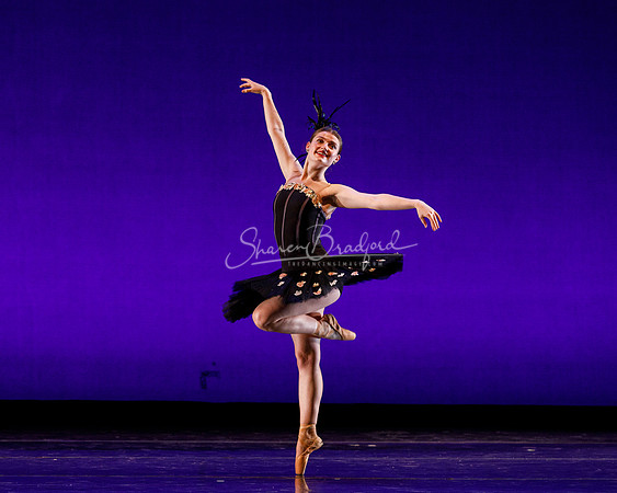 Rhapsodie Chromatique pc Sharen Bradford-2221