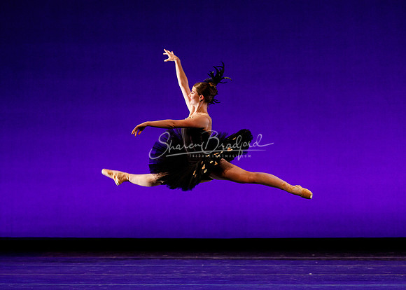 Rhapsodie Chromatique pc Sharen Bradford-2225