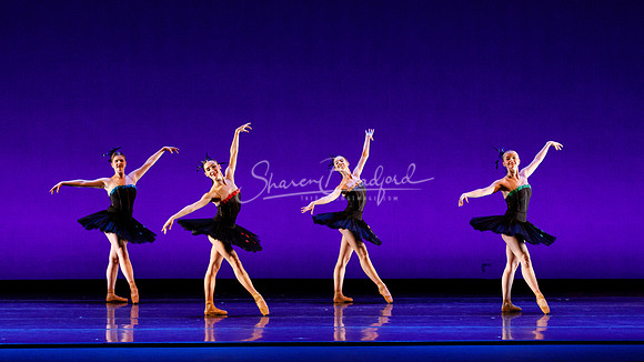 Rhapsodie Chromatique pc Sharen Bradford-2238