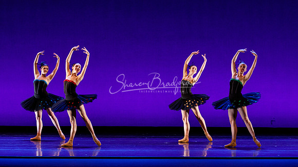 Rhapsodie Chromatique pc Sharen Bradford-2241