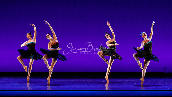 Rhapsodie Chromatique pc Sharen Bradford-2242