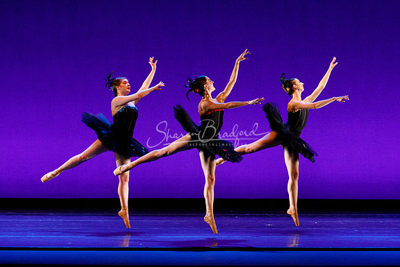 Rhapsodie Chromatique pc Sharen Bradford-2246