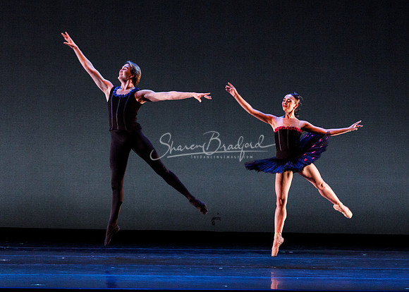 Rhapsodie Chromatique pc Sharen Bradford-2249