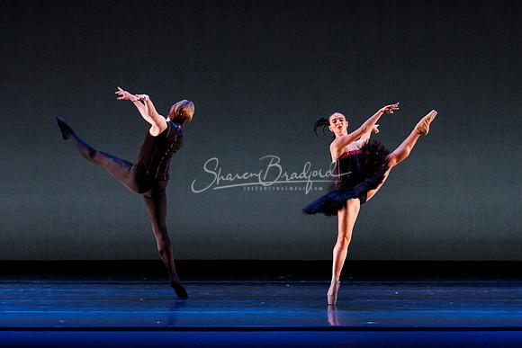 Rhapsodie Chromatique pc Sharen Bradford-2253