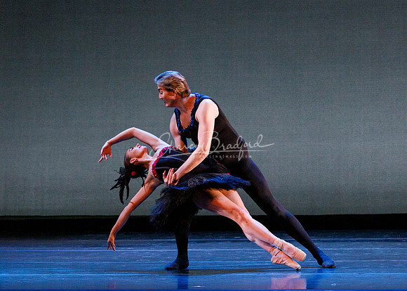 Rhapsodie Chromatique pc Sharen Bradford-2257