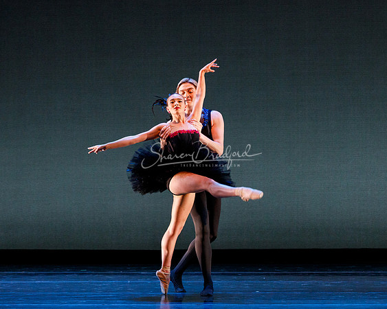 Rhapsodie Chromatique pc Sharen Bradford-2263