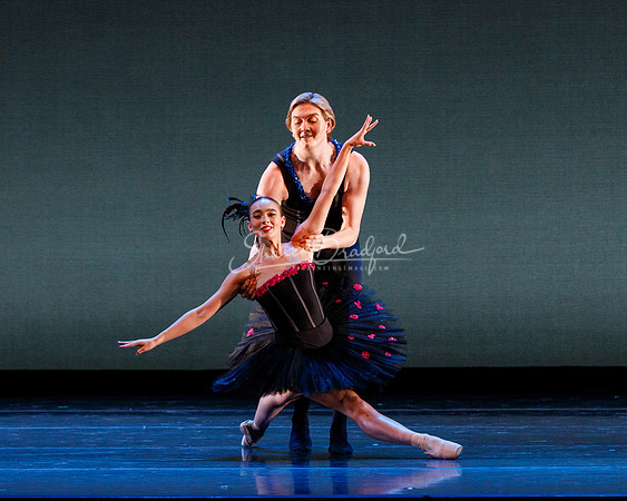 Rhapsodie Chromatique pc Sharen Bradford-2264
