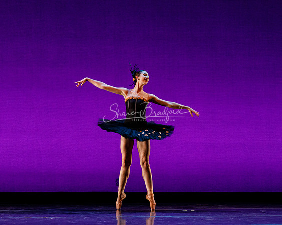 Rhapsodie Chromatique pc Sharen Bradford-2273