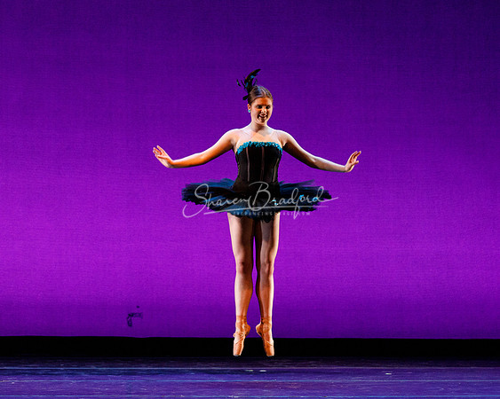Rhapsodie Chromatique pc Sharen Bradford-2279