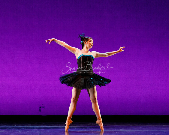 Rhapsodie Chromatique pc Sharen Bradford-2280
