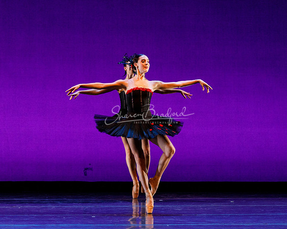 Rhapsodie Chromatique pc Sharen Bradford-2284