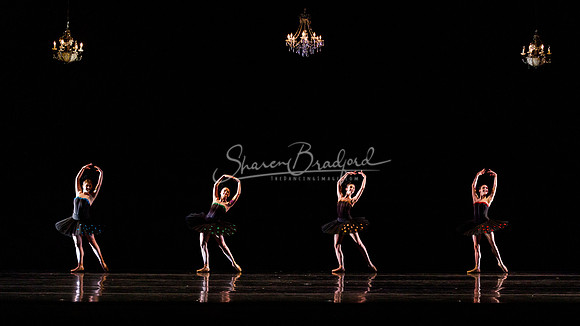 Rhapsodie Chromatique pc Sharen Bradford-2037