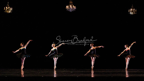 Rhapsodie Chromatique pc Sharen Bradford-2040