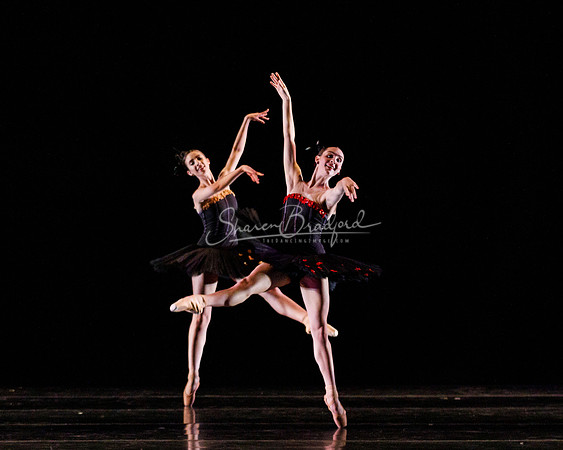 Rhapsodie Chromatique pc Sharen Bradford-2055